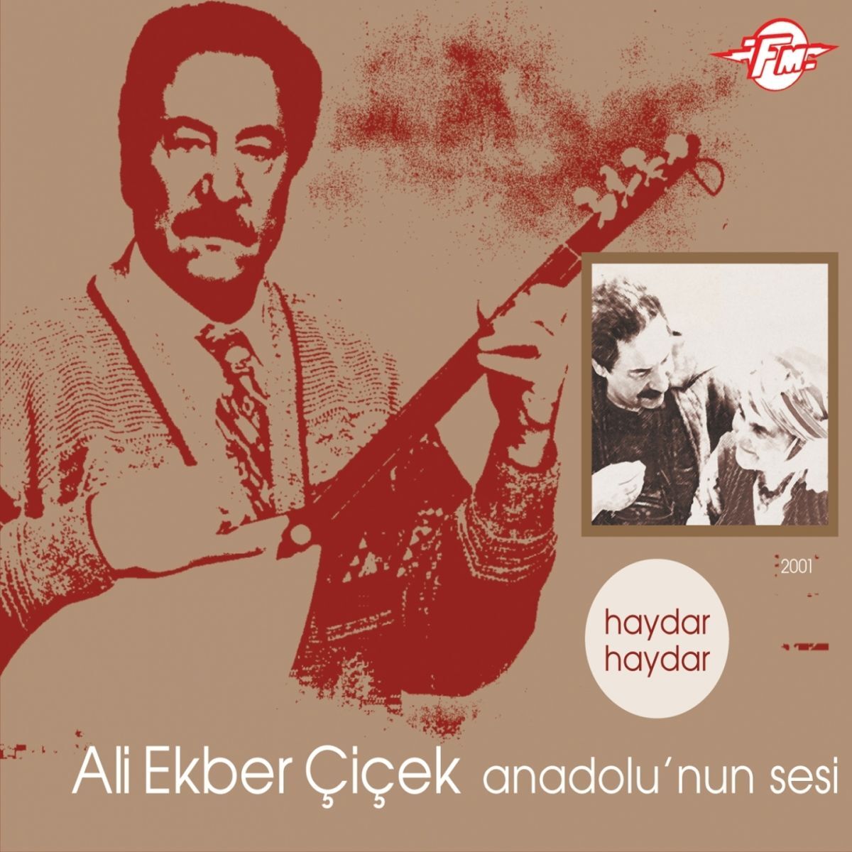 Album cover of Anadolu'nun Sesi (Haydar Haydar)