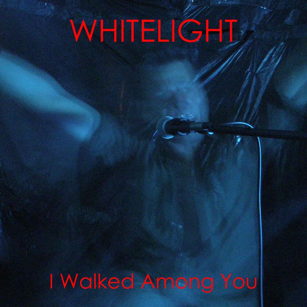 Picture of I Walked Among You