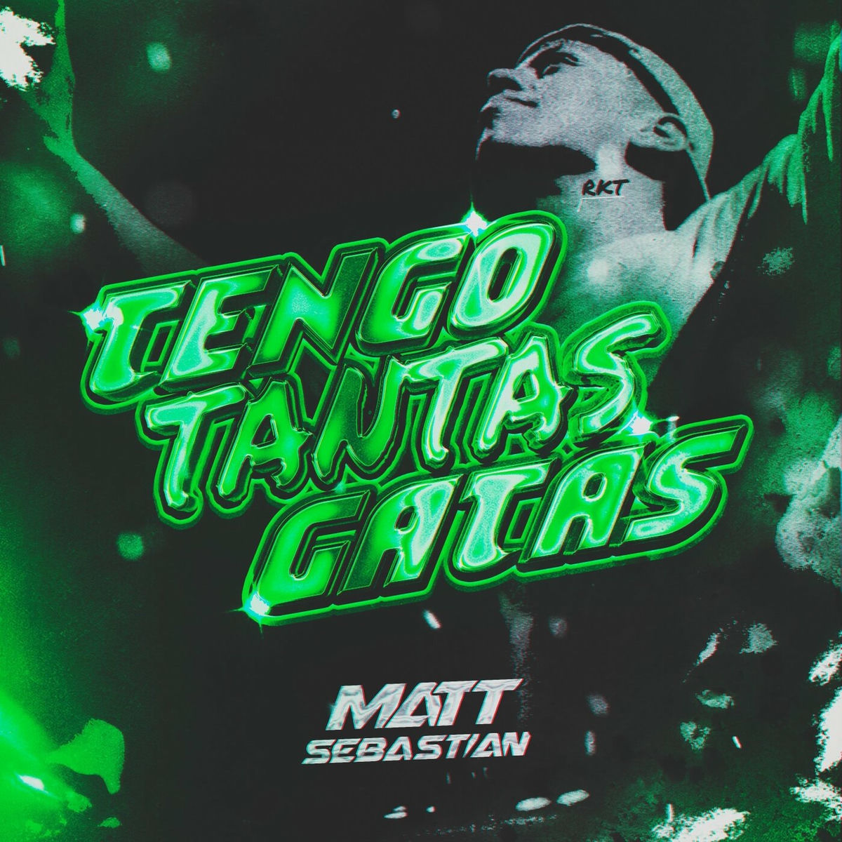 Album cover of Tengo Tantas Gatas
