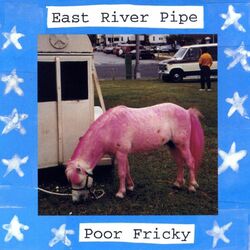 Cover of Poor Fricky