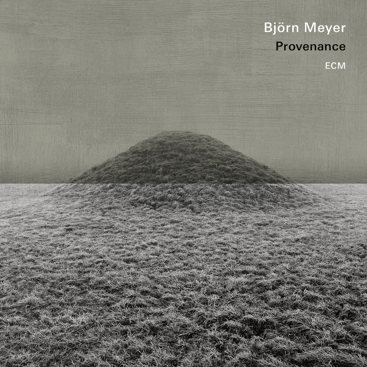 Album cover of Provenance