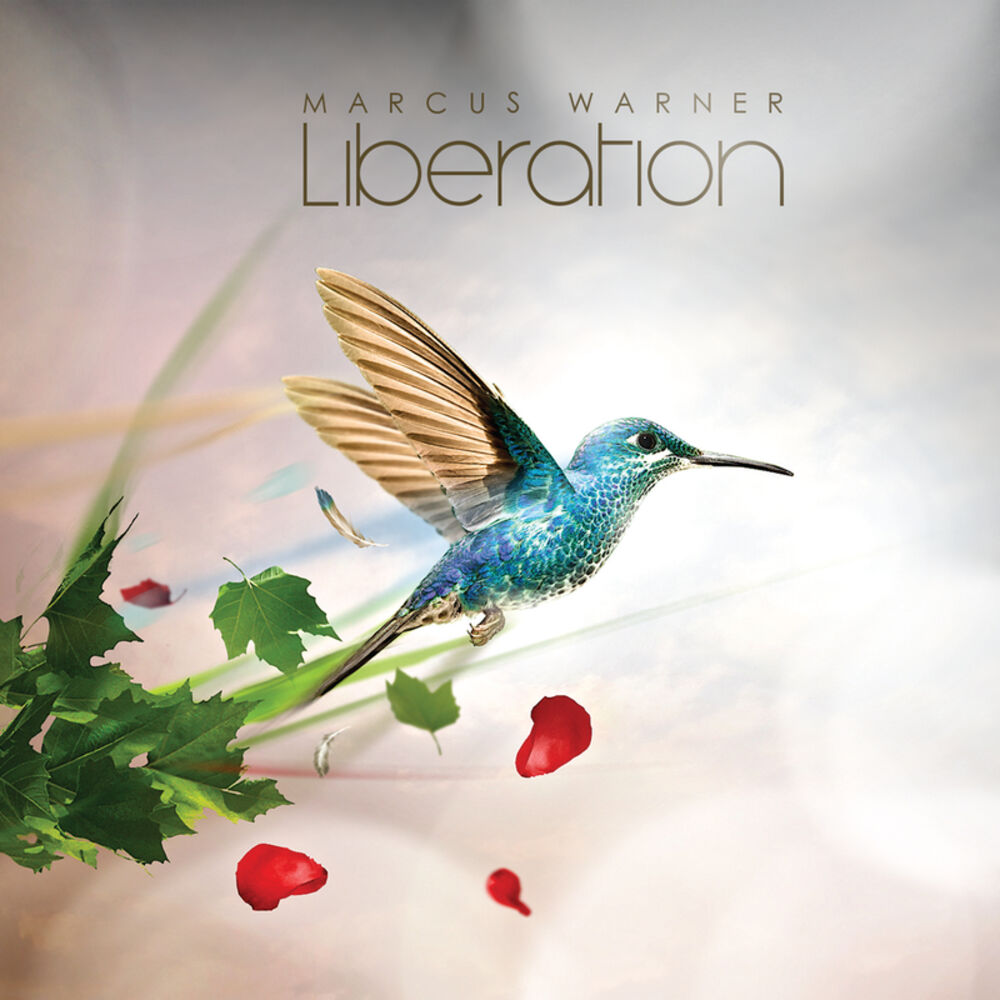 Picture of Liberation