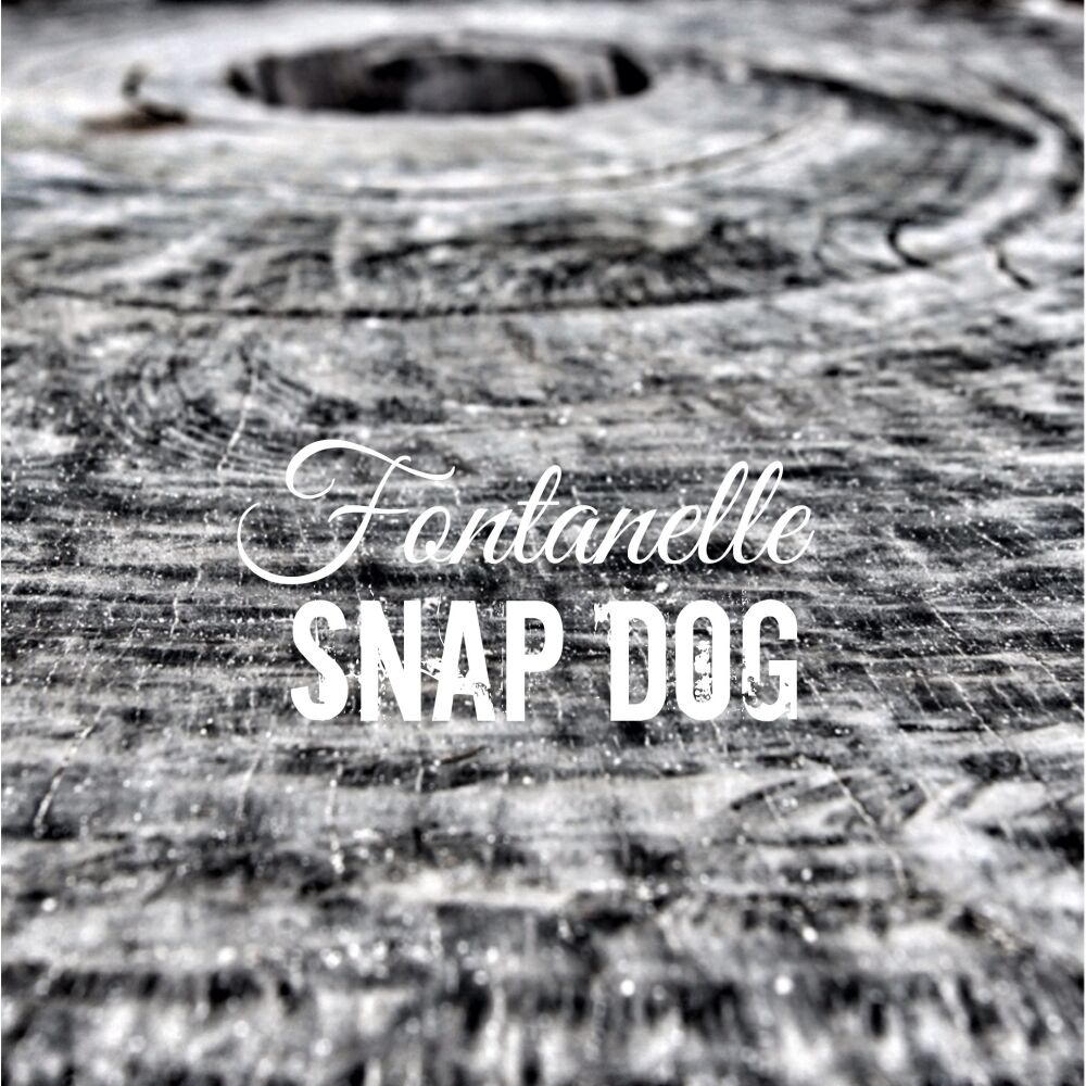 Picture of Snap Dog