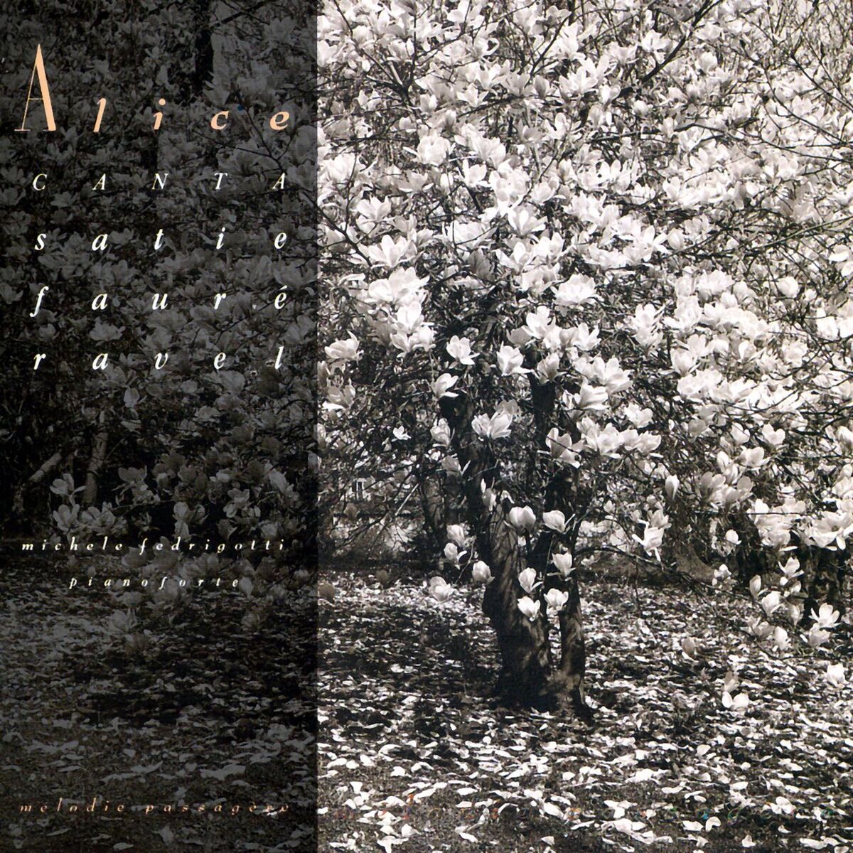 Album cover of Mélodie Passagère