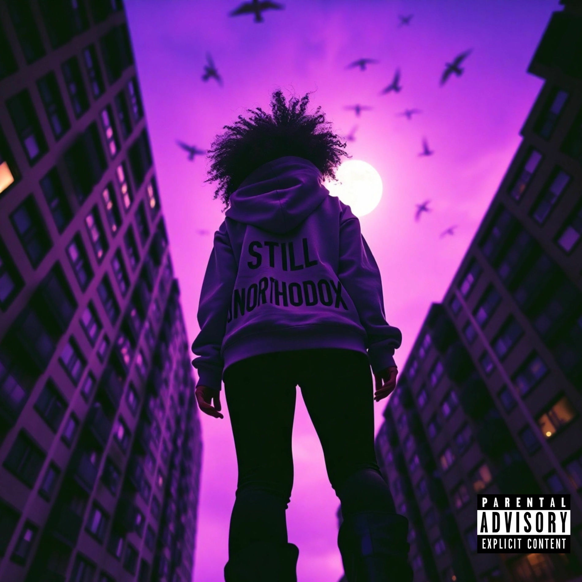 Album cover of Still Unorthodox