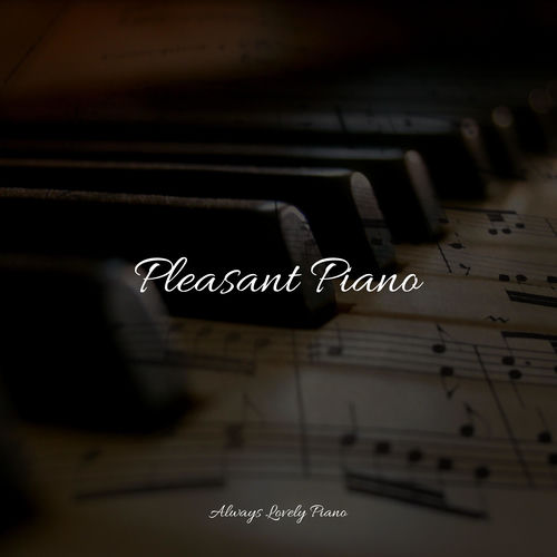 #2022 50 Calming Songs for Studying