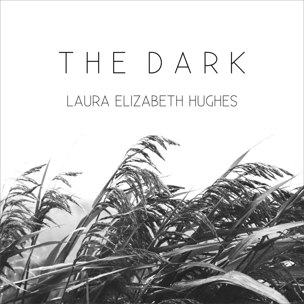Picture of The Dark