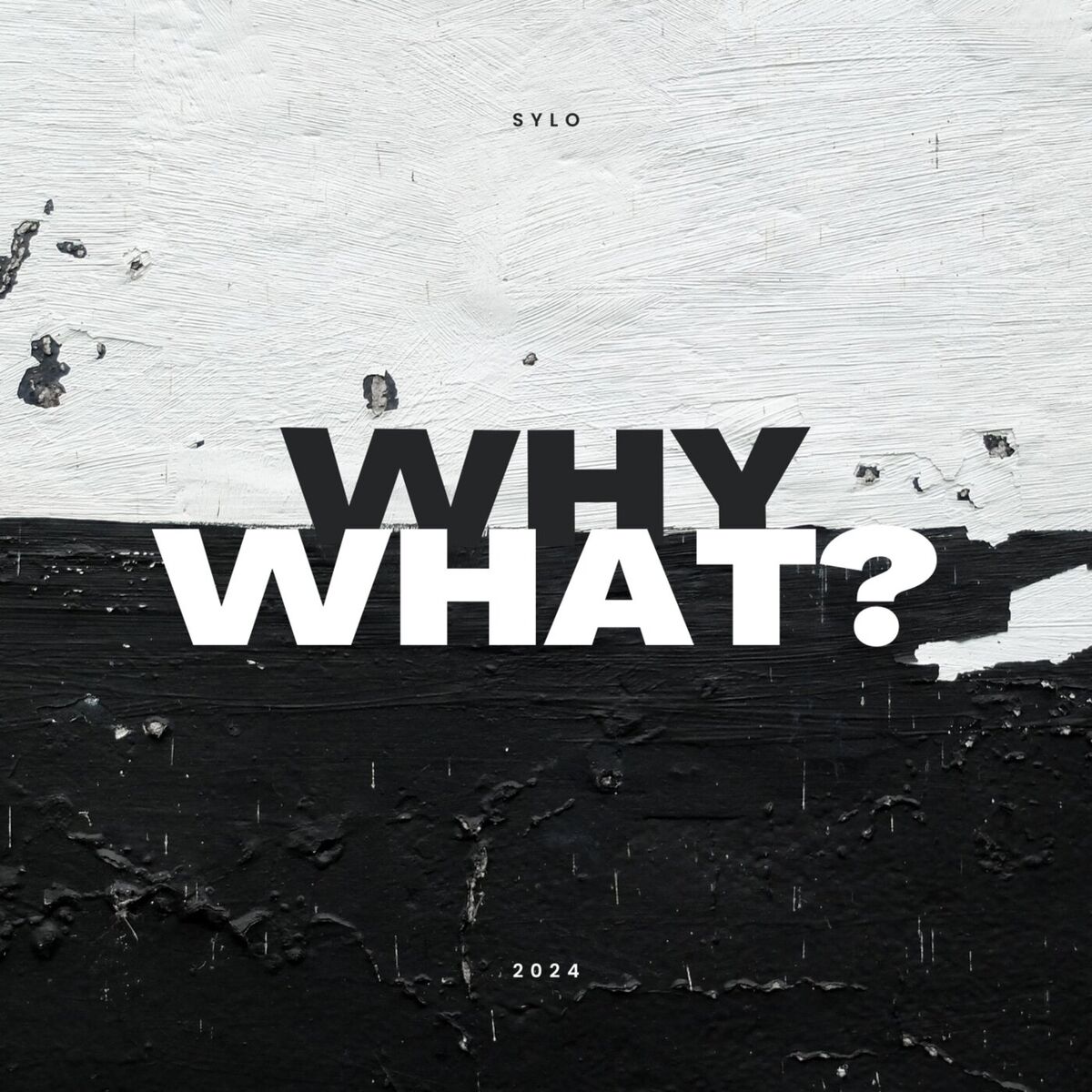 Album cover of Why, What?