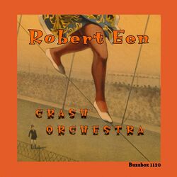 Cover of Crash Orchestra