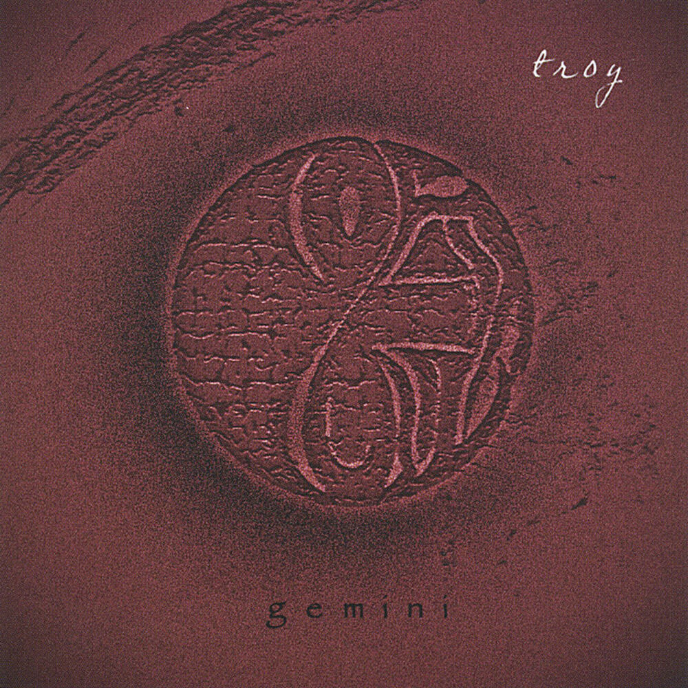 Picture of gemini