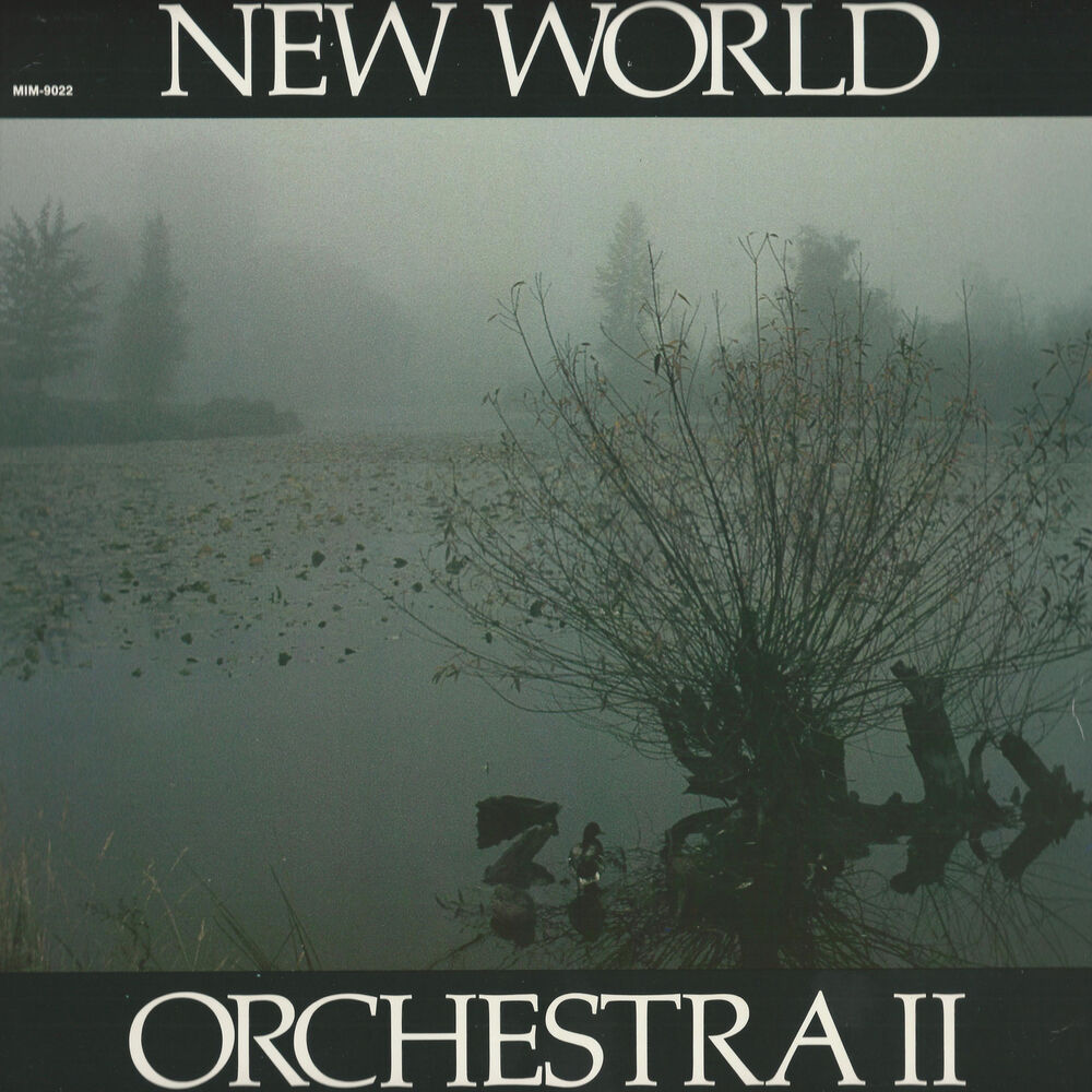Picture of New World Orchestra II