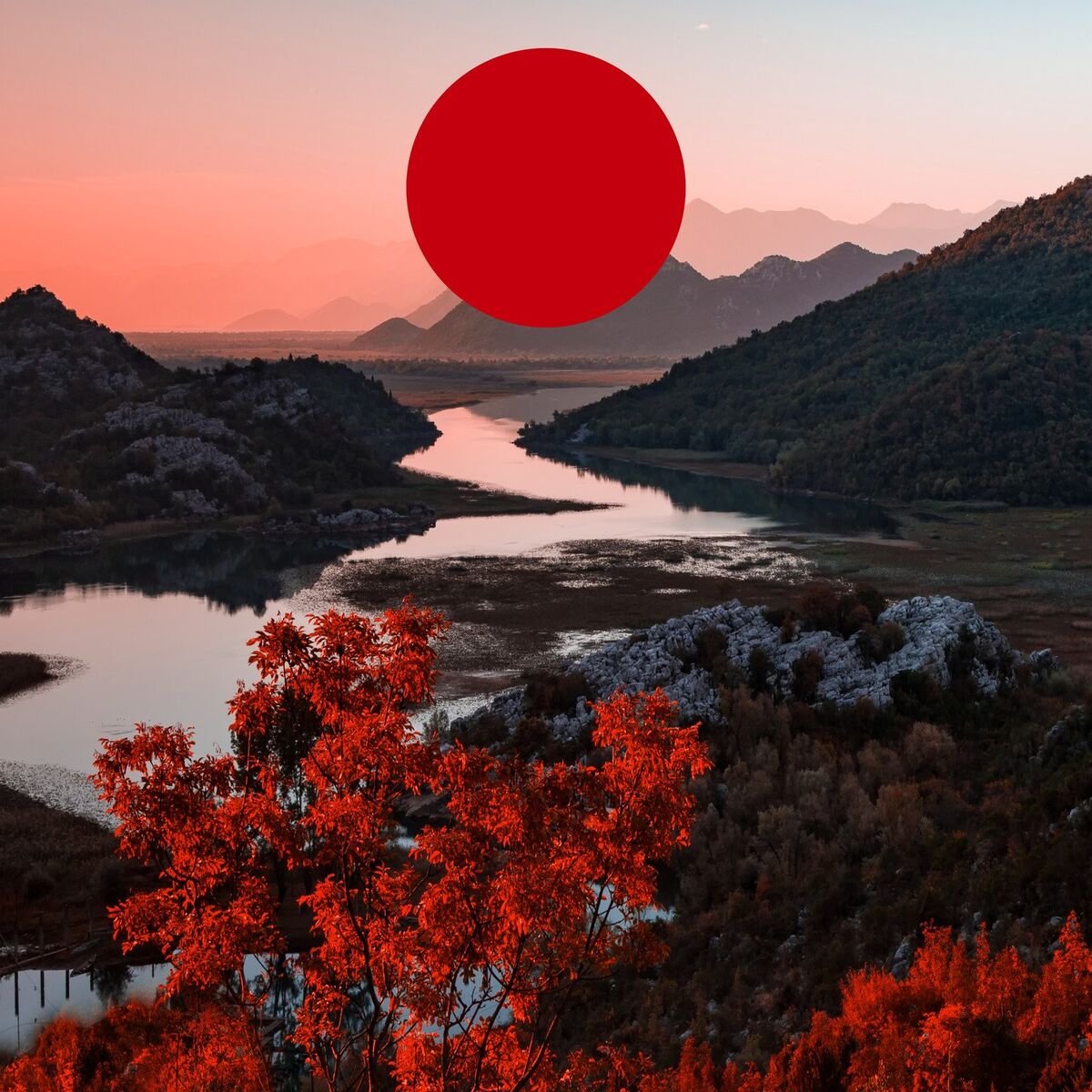 Album cover of Sleep Through the Storm