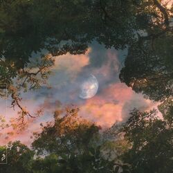 Cover of Holding Me Back