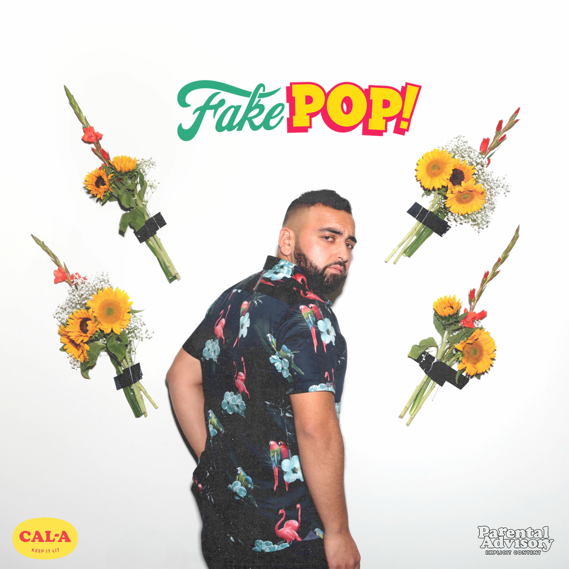 Album cover of Fake Pop