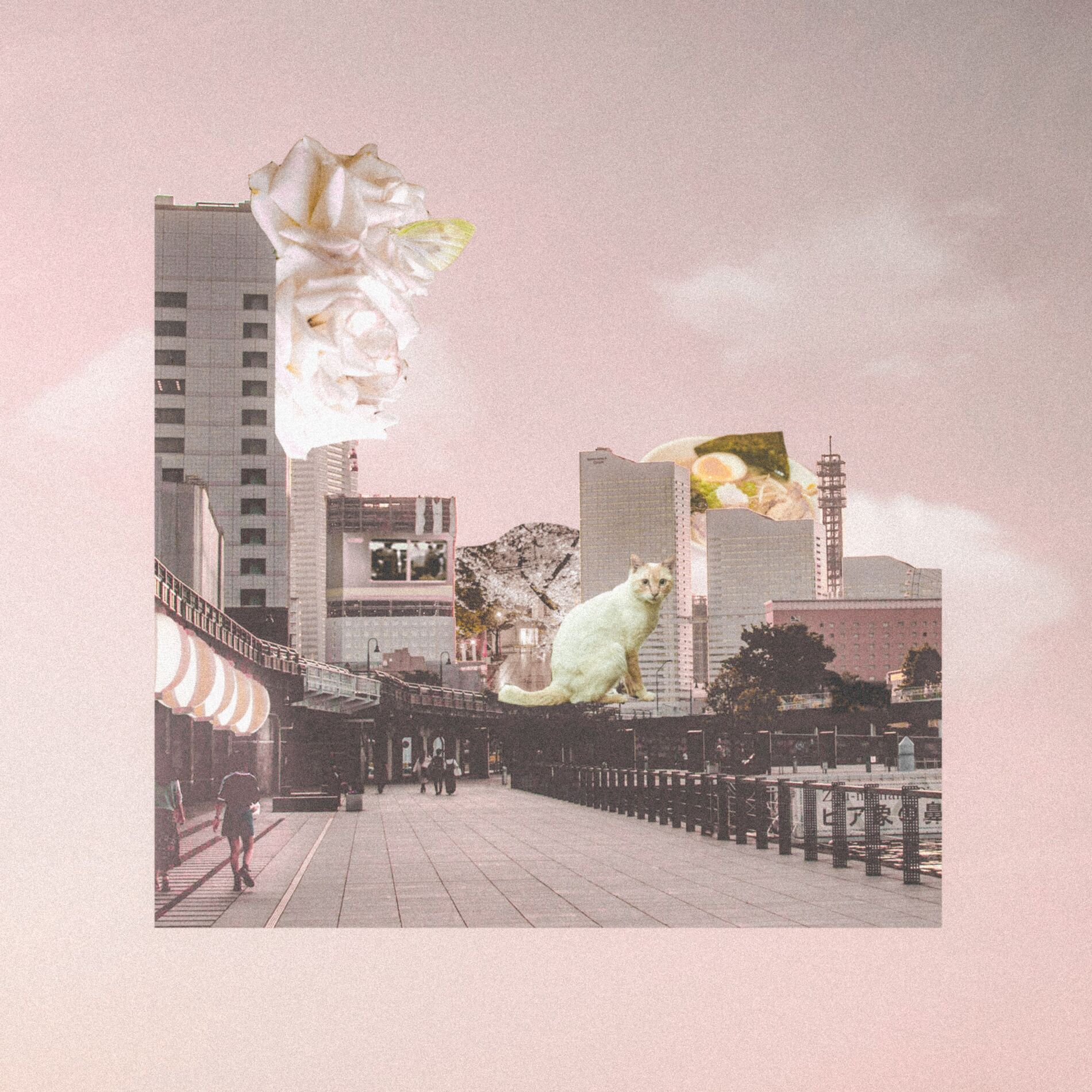 Album cover of Dusk-Sunrise