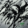 Apophenia