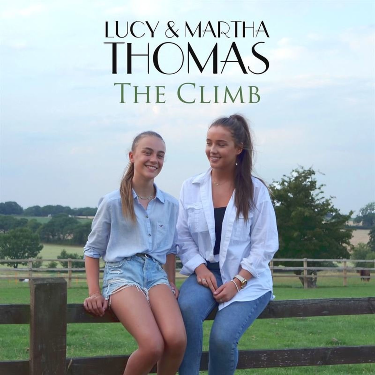 Album cover of The Climb
