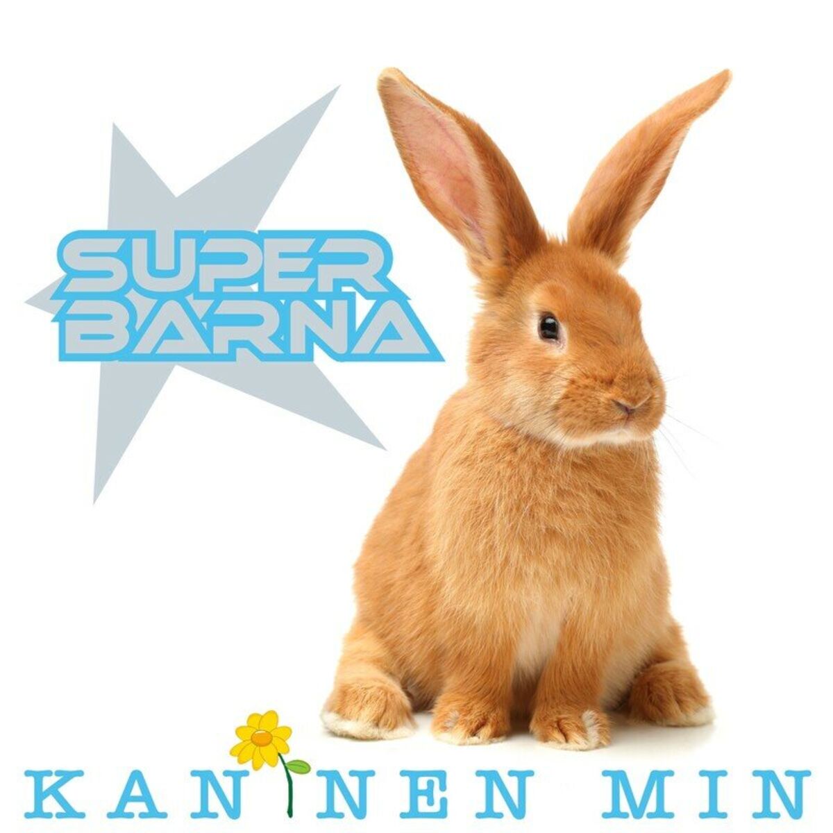 Album cover of Kaninen Min