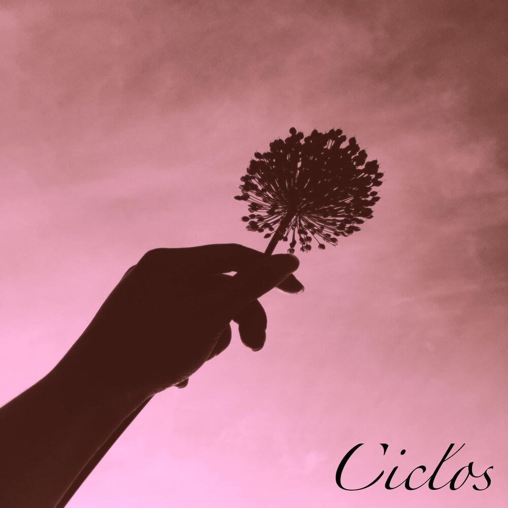 Picture of Ciclos
