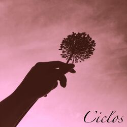Cover of Ciclos