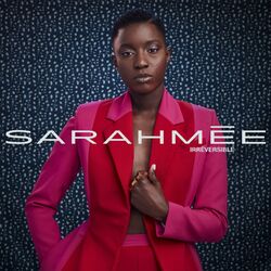 Cover of Irréversible