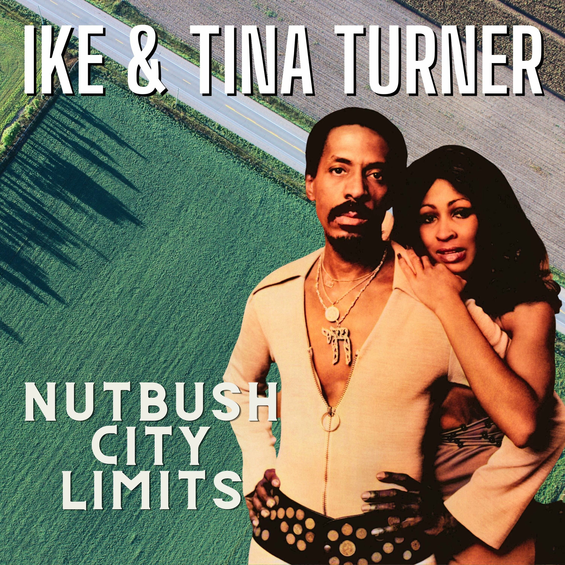 Ike Turner - Nutbush City Limits | Deezer