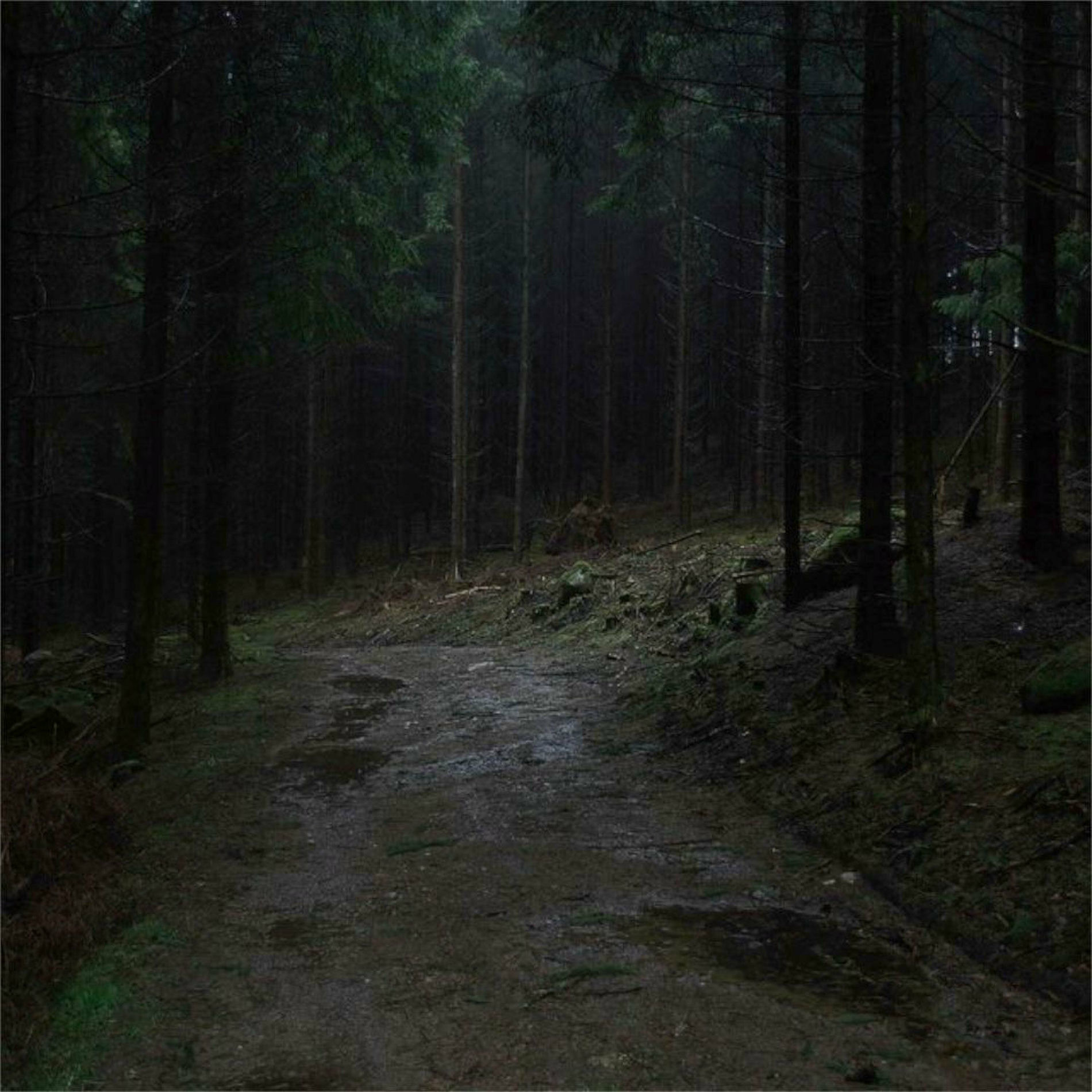 Album cover of alone