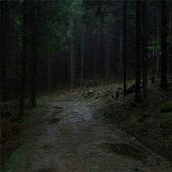 music cover