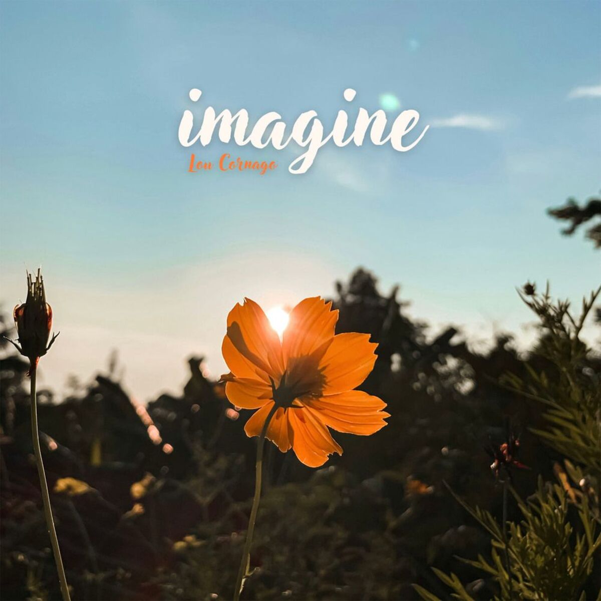 Album cover of Imagine
