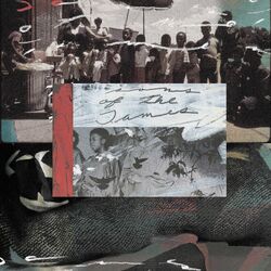 Cover of Everlasting