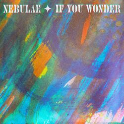 Cover of If You Wonder