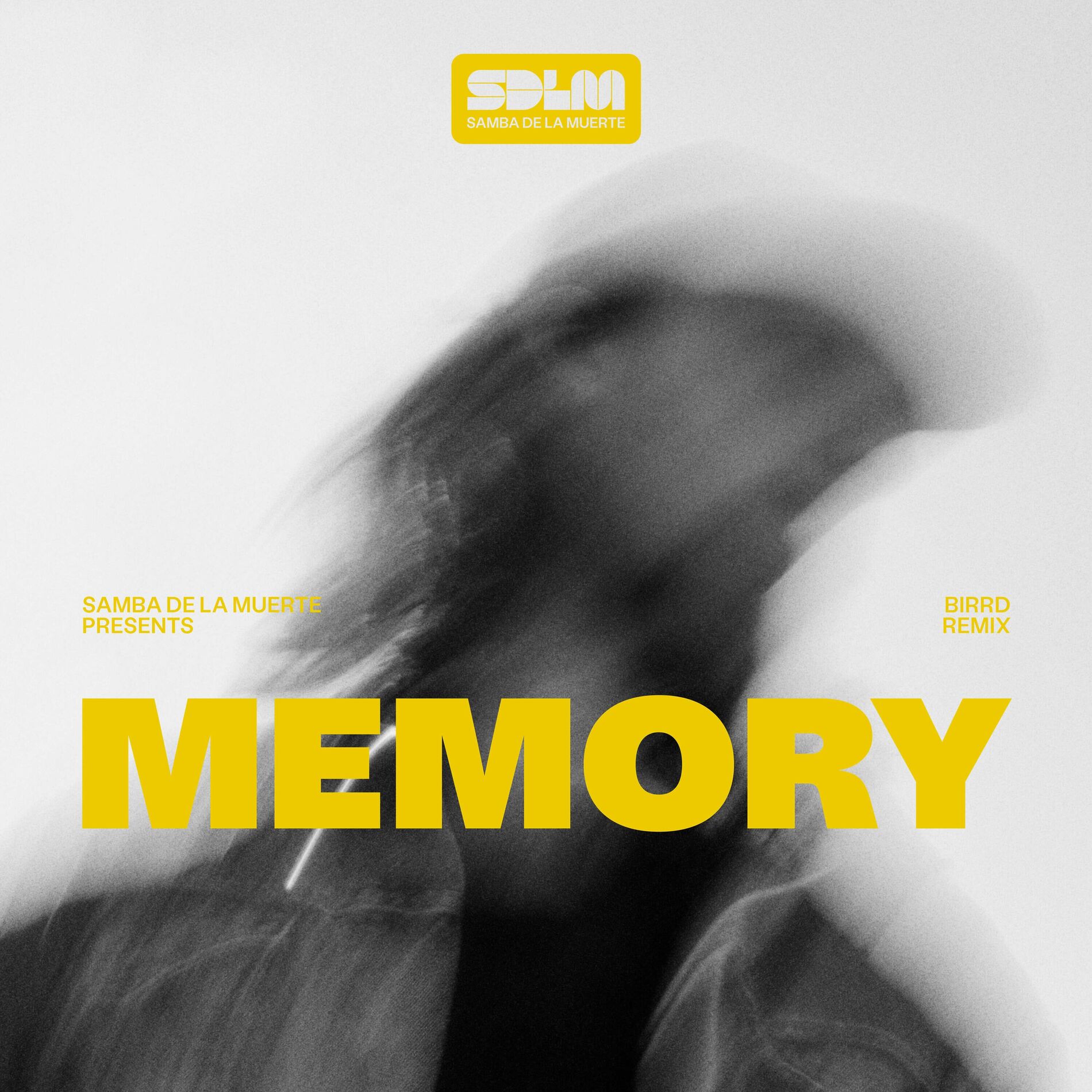 Album cover of Memory (Birrd Remix)