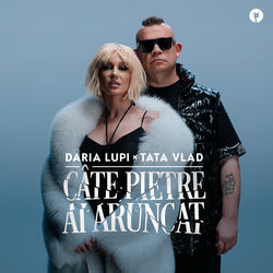 C&acirc;te pietre ai aruncat
