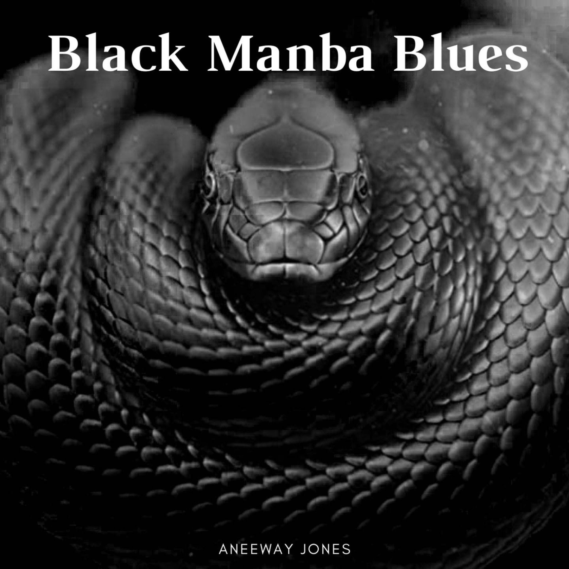 Aneeway Jones - Black mamba blues | Deezer
