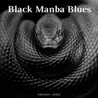Aneeway Jones - Black mamba blues | Deezer