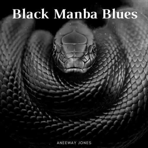 Aneeway Jones - Black mamba blues | Deezer