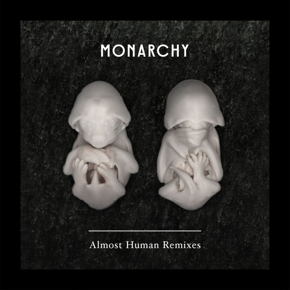 Picture of Almost Human (Remixes)