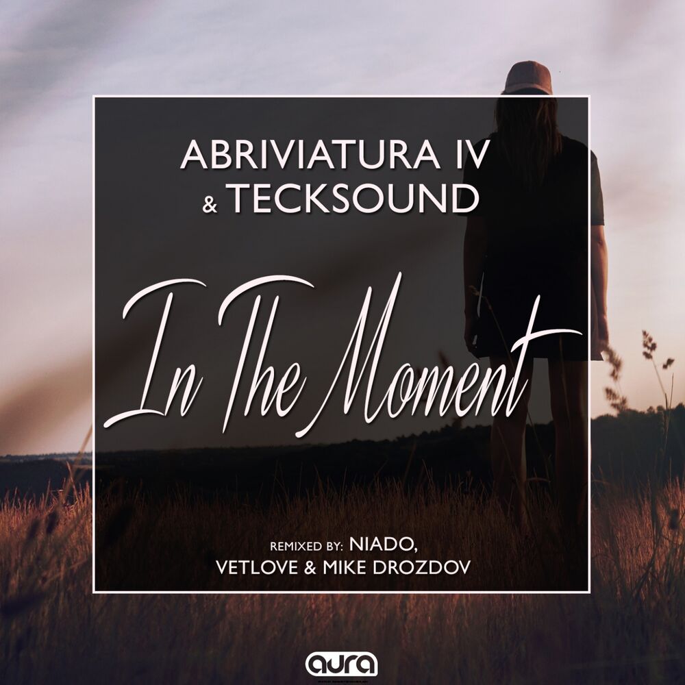 Picture of In the Moment