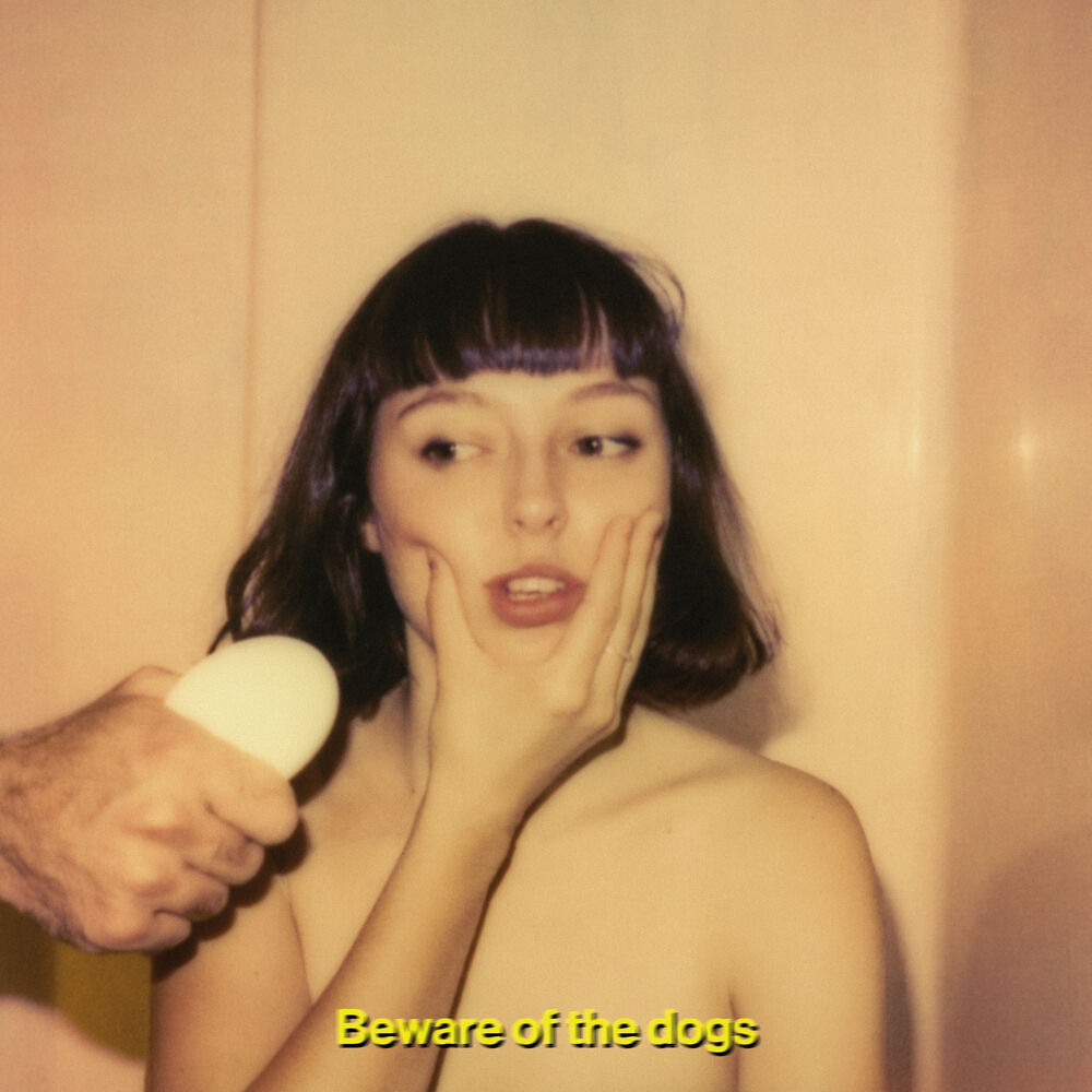 Picture of Beware of the Dogs