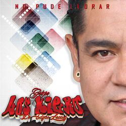 Cover of No Pude Llorar
