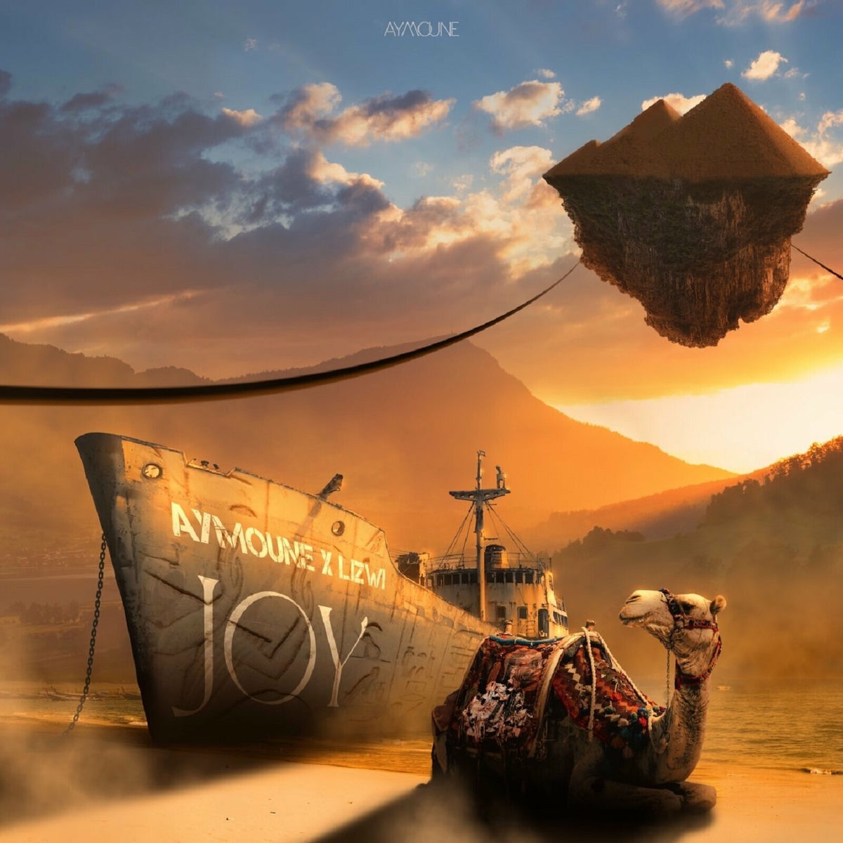 Album cover of Joy