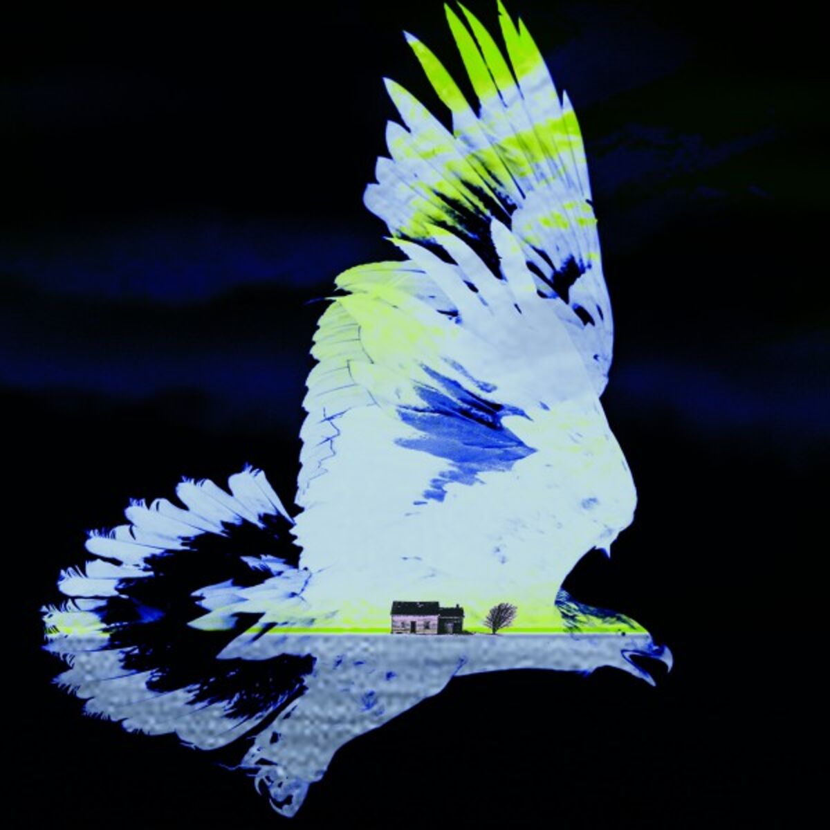 Album cover of Catapulco