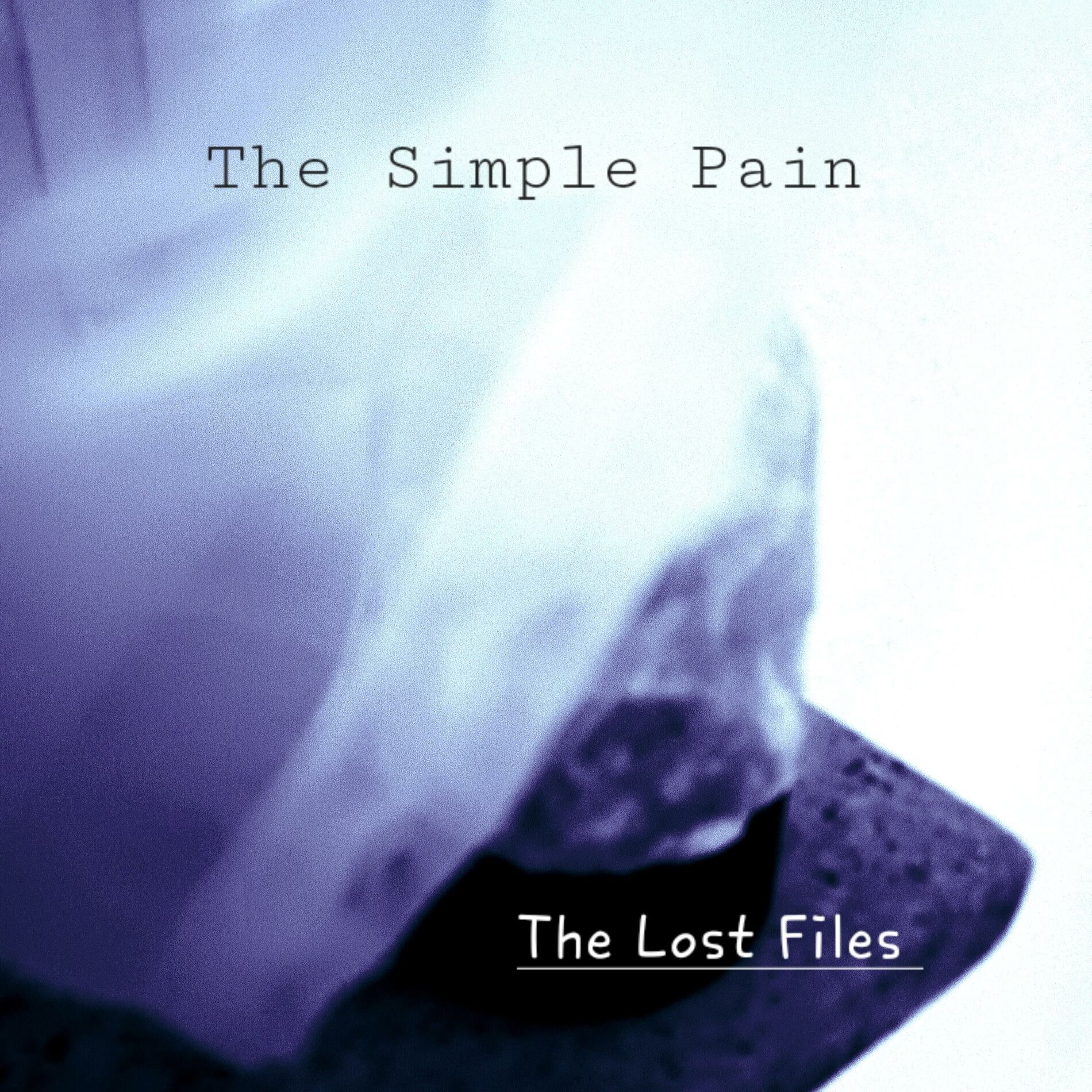 Album cover of The Lost Files