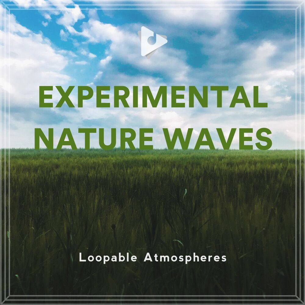 Picture of Experimental Nature Waves