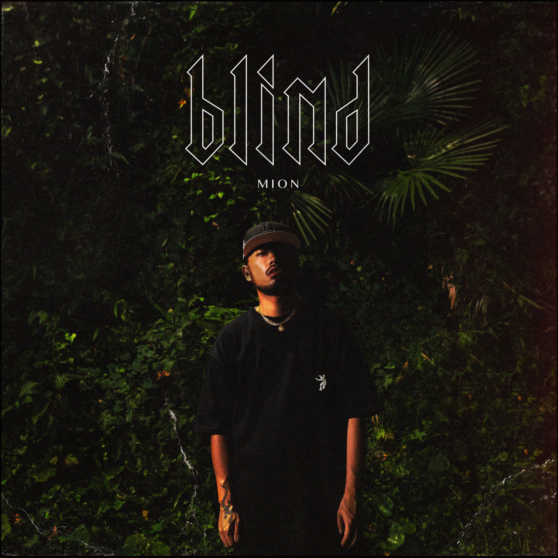 Album cover of blind