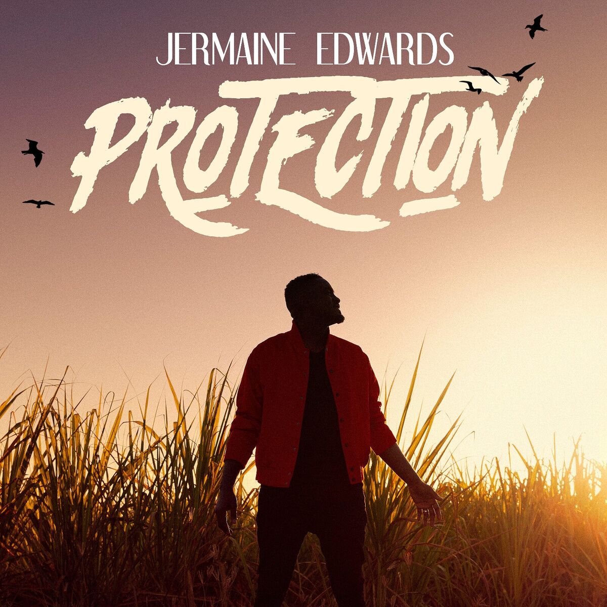 Album cover of Protection