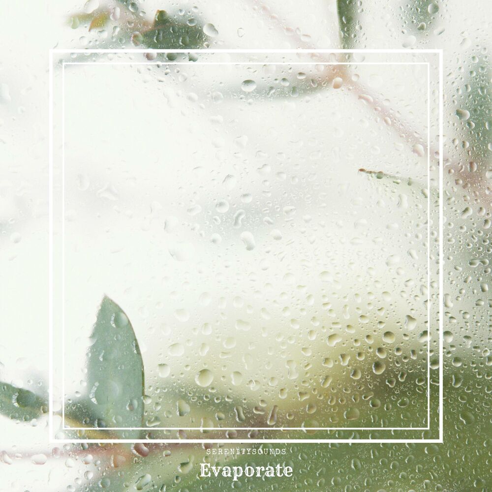 Picture of Evaporate