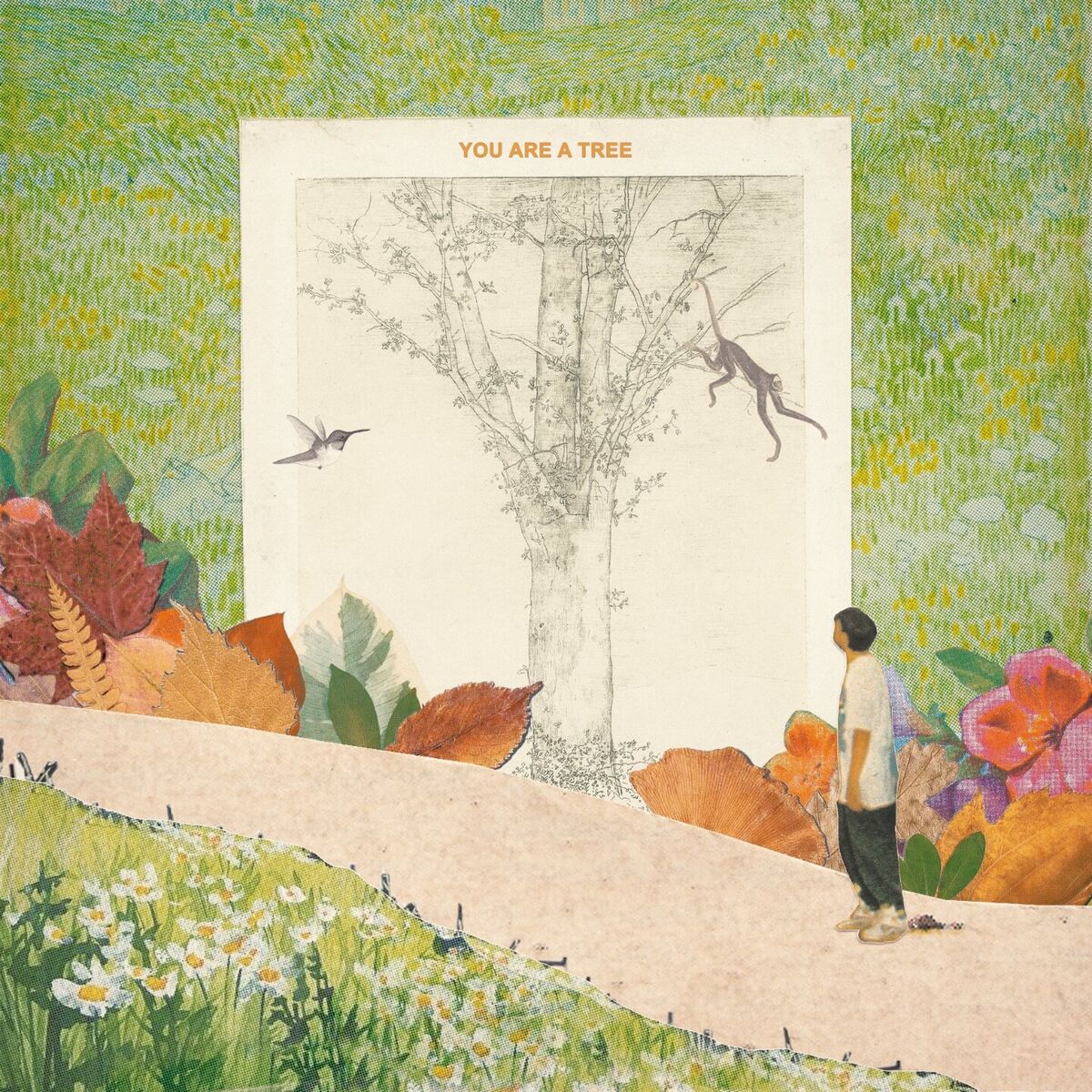 Album cover of You are a Tree