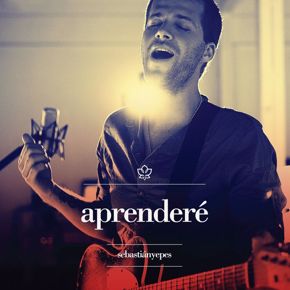 Picture of Aprenderé