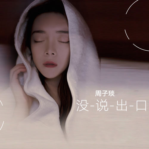 没说出口